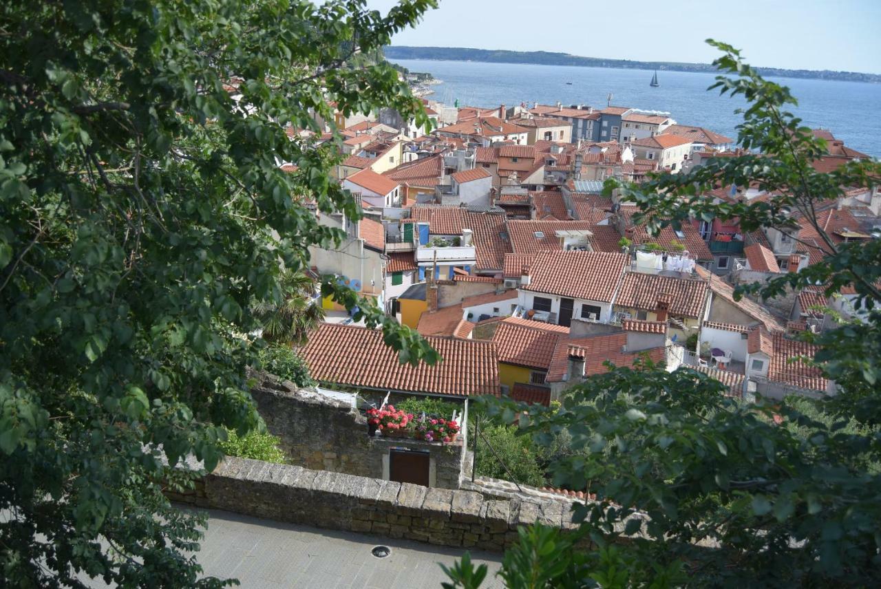 Traditional Piran House Hostel Kültér fotó